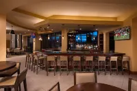 Embassy Suites by Hilton Phoenix Scottsdale - bar