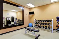 Hilton Garden Inn Ottawa Airport - Gym