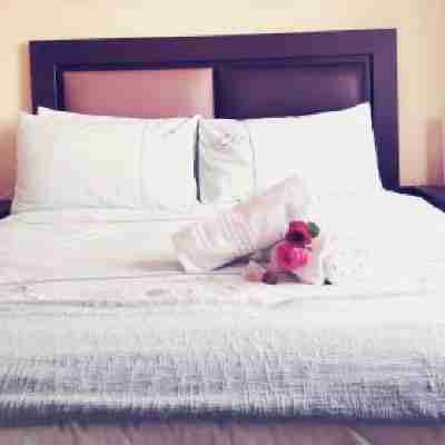 Hillton Gardens Guesthouse Rooms