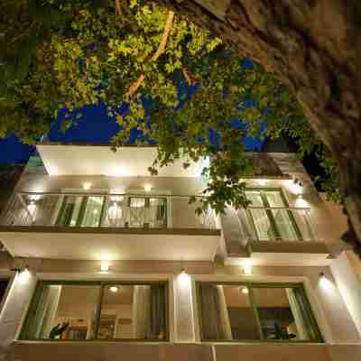 The Tree Hotel Exterior