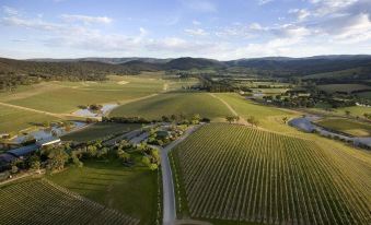 Lavender Farm