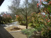 Azienda Agrituristica le Betulle - Wi-Fi