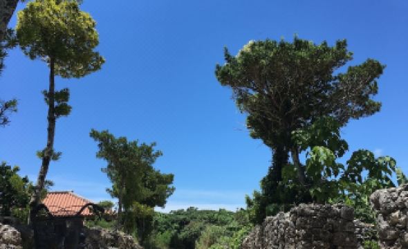 다케토미지마 게스트하우스 앤드 주 템므 썸네일