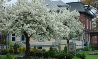 Rocking Horse Inn - Housity