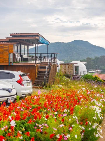 รูปภาพของไร่สายหมอกหน้าม่อนแจ่ม