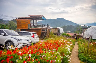 รูปภาพของไร่สายหมอกหน้าม่อนแจ่ม
