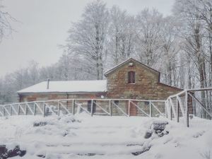 古老避難所小屋