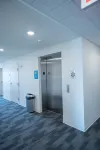 巢