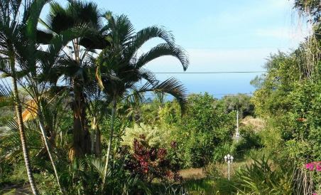 Rainbow Plantation B&B - Housity