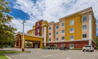 Comfort Suites Denham Springs