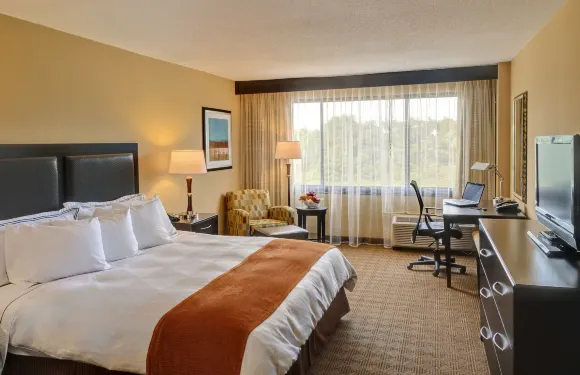 弗裏霍爾德麗笙酒店