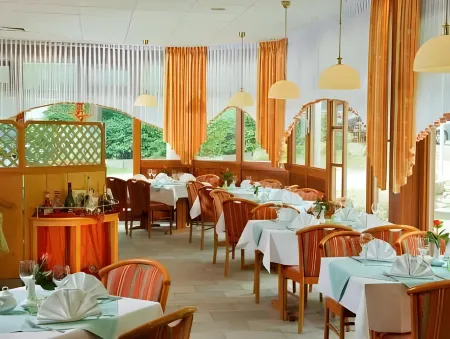 Kurpark Flair Hotel Im Ilsetal