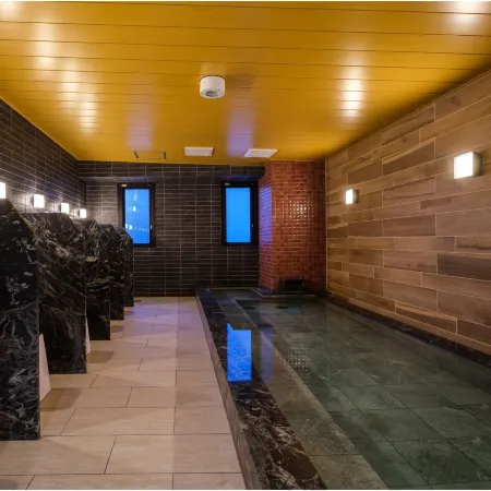 Hotel Aston Plaza Hiroshima Kaitaichi Station Отели в г. Хиросима
