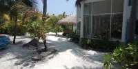 Island Life Maldives Retreat & Spa - Wi-Fi