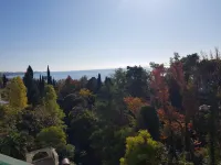 Sofiya Rooms Hotel Hotels in Khosta