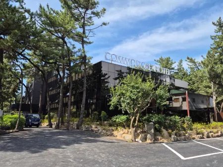 Commodore Hotel Pohang Отели рядом с достопримечательностью «Yeongullae Beach»