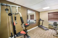 Comfort Inn & Suites Fairborn Near Wright Patterson AFB - Kuntosalit