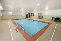 Comfort Inn & Suites High Point - Archdale - Pools