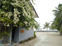 Splendour Grand Hotels near Bikini Beach Feridhoo