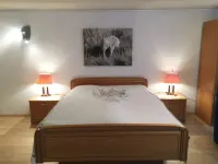 Studio Poli Hotels in Zweisimmen