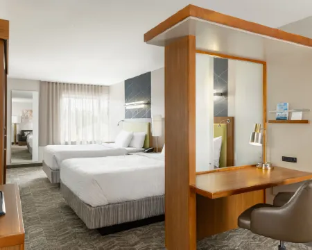 威斯康星戴爾斯SpringHill Suites酒店 索克縣酒店