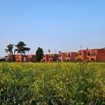 Seogwipo Tre Pension