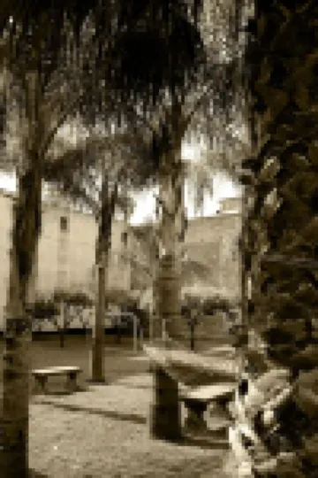 GARDEN OF THE VESUVIUS
