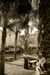 GARDEN OF THE VESUVIUS