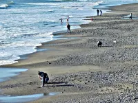 Footsteps to Pebble Beach & Short Drive to Redwoods