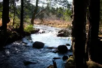 An Adirondack Retreat