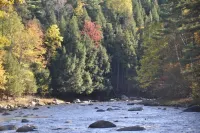 Secluded, Furnished, Log Home, Close To Many Adirondack Attractions.