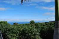 Light-flooded country house with WiFi connection * Last minute offer *