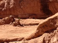 Beautiful property just a 5 minute walk to the center of downtown Moab!