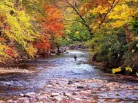 Cozy & Convenient Stone Mountain hideawy ... closest to the State Park! Hotels in Traphill