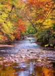 Cozy & Convenient Stone Mountain hideawy ... closest to the State Park!