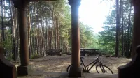 Comfortable vacation home between forest and vineyards near Freinsheim