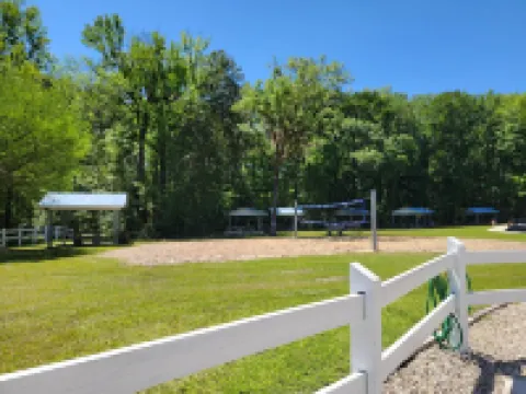 Country acre of quiet, calm, safe retreat. Near Devils Den Prehistoric Spring