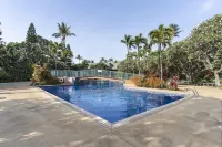 Family friendly condo, bright and beachy, walk to the beach! AC, pool, hot tub! - Pool