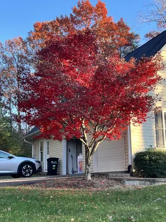 Smith Mountain Lake Area