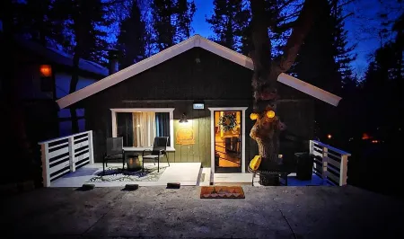 Modern Family Cabin in Arrowbear Lake Running Springs minutes to Snow Valley