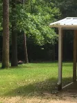 Family and Pet friendly- Shirley Creek lake house at Sam Rayburn!