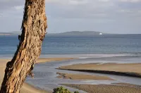 Rivermouth on Kingston Beach - Strand