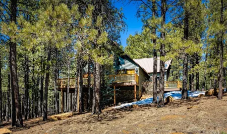 Luxury Furnishings and Amenities at the Hummingbird Chalet-Country Club Location