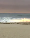 Ocean View - Steps to the Beach