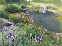 Traumhaftes und Entspanntes Wohnen am Gartenteich