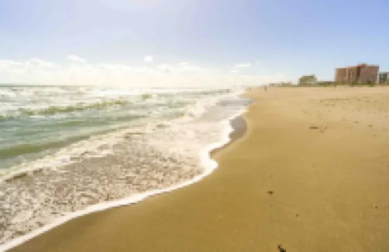 Private Tropical Beach Oasis - Coral