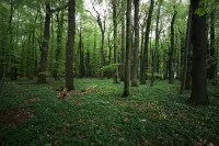 Modern wooden house on the Bodden with two apartments that can be combined Hotels in Loissin