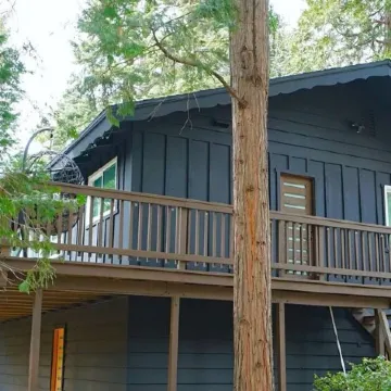Beautiful Renovated Cozy Forest Home in Crestline with Hot Tub