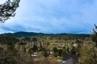 Cozy & Quiet 2 bdrm private Treehouse getaway with Amazing Views minutes from UO