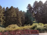 The Garden Suite has beautiful views of forests and pastures! It is dog friendly Hotels in Ferndale